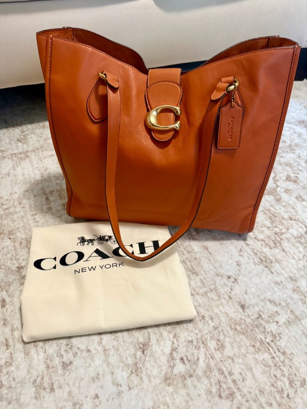 Coach Theo Tote in Canyon
